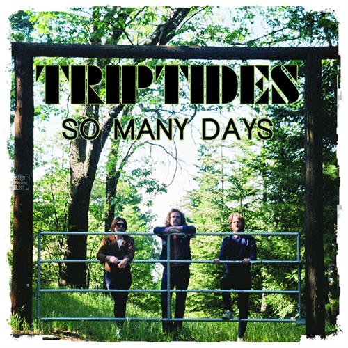Triptydes So Many Days (12") 