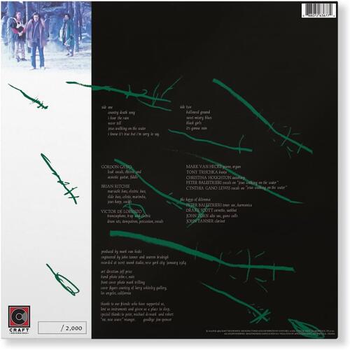 Violent Femmes Hallowed Ground (LP) 