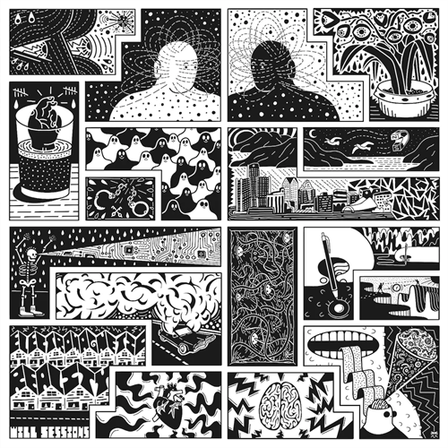 Will Sessions Electromagnetic Reality (LP) 