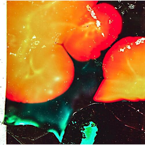 Amalie Dahl's Dafnie Står Op Med Solen (LP) 