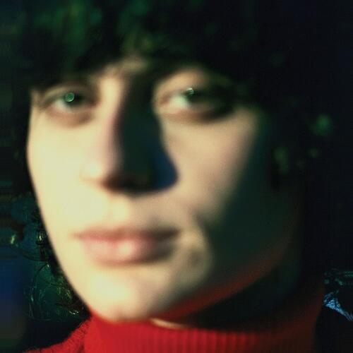 Ana Frango Elétrico Little Electric Chicken Heart (CD) 