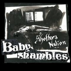 Babyshambles Shotter&#39;s Nation - LTD (LP)