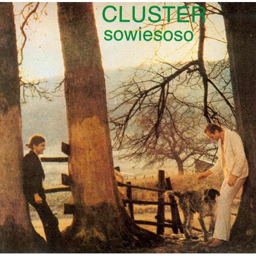 Cluster Sowiesoso (CD)