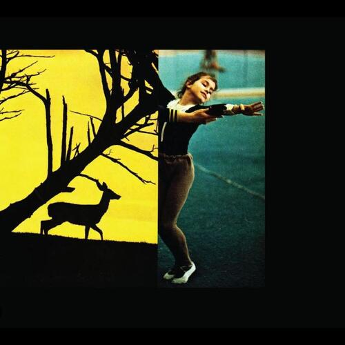 Consumer Electronics Surge (CD) 