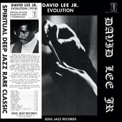 David Lee Jr. Evolution - LTD (LP)