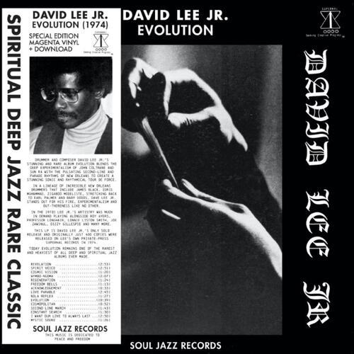 David Lee Jr. Evolution - LTD (LP)