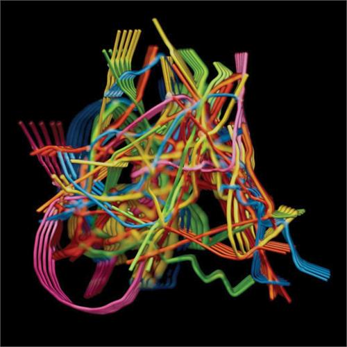 Dustin Wong Perpetual Morphosis (CD) 