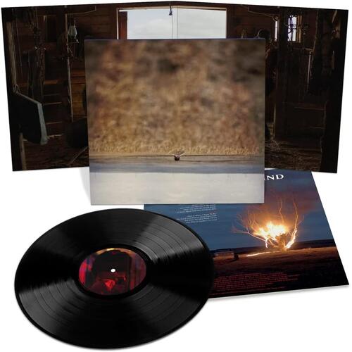 Jim O'Rourke Hands That Bind OST (LP) 