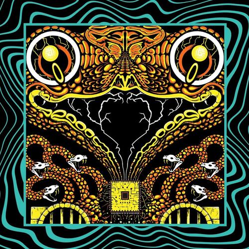 King Gizzard & The Lizard Wizard Acoustic Gizzard Vol. II - LTD… (3LP) 