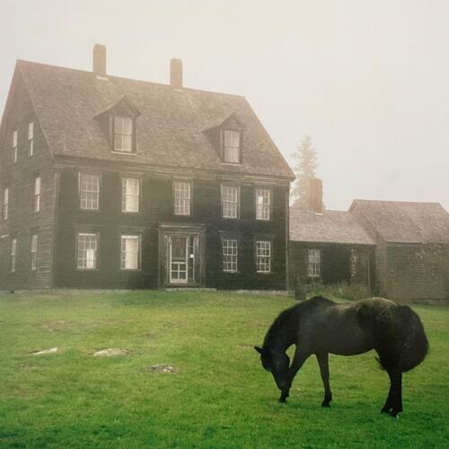 Lutalo The Academy - LTD (LP) 