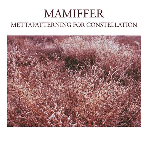 Mamiffer Mettapatterning For Constellation (LP)
