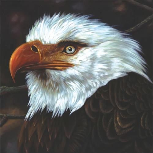 Mogwai The Hawk Is Howling - LTD (2LP)