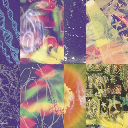 Nap Eyes The Neon Gate (CD) 