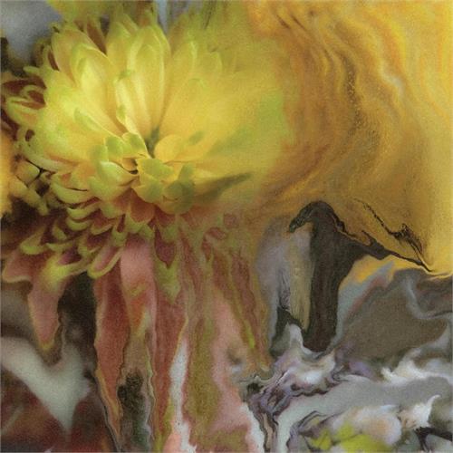 Parker Millsap Wilderness Within You (LP) 