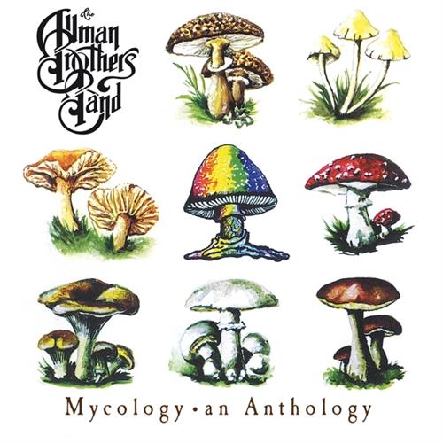 The Allman Brothers Band Mycology: An Anthology (CD)