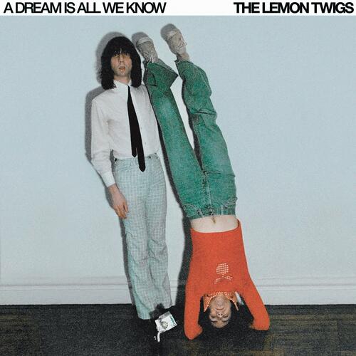 The Lemon Twigs A Dream Is All We Know - LTD (LP)
