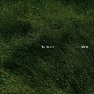 The Necks Bleed (CD)