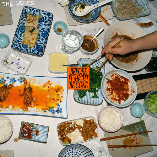 The Vices Before It Might Be Gone - LTD (LP) 