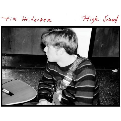 Tim Heidecker High School - LTD (LP)