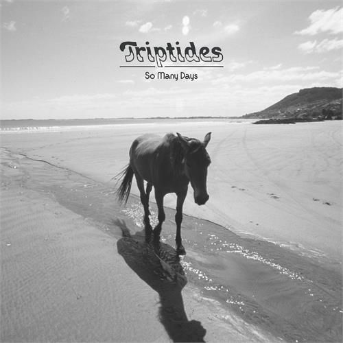 Triptides So Many Days (CD) 