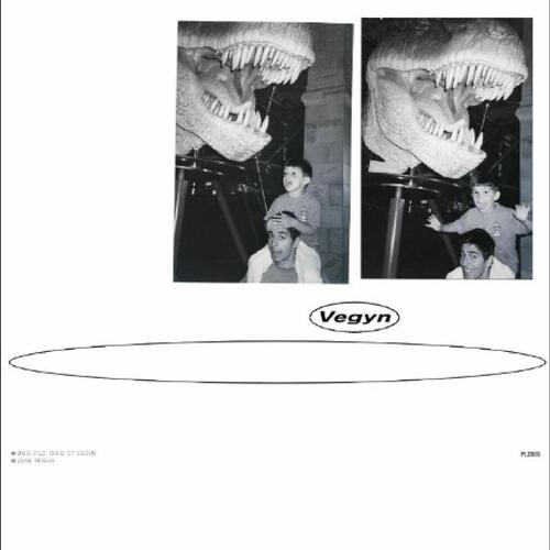 Vegyn Only Diamonds Cut Diamonds (2LP) 