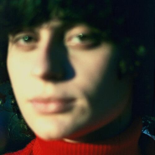 Ana Frango Elétrico Little Electric Chicken Heart (LP) 