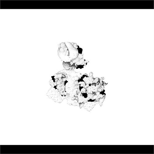 Anna Webber And Matt Mitchell Capacious Aeration (CD) 