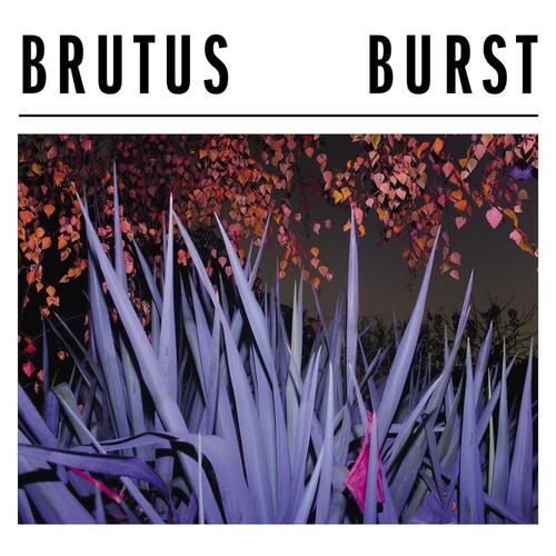 Brutus Burst (CD) 