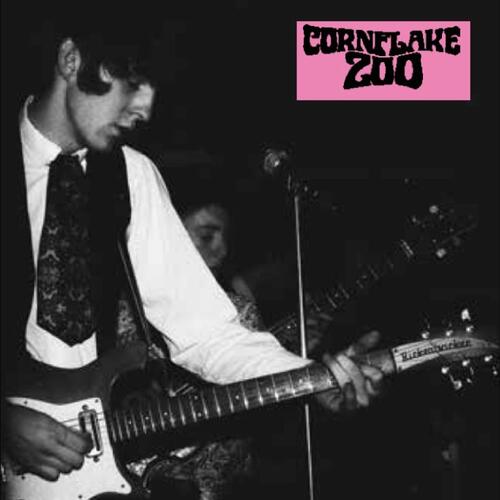 Cornflake Zoo Knights Of Fuzz (LP) 