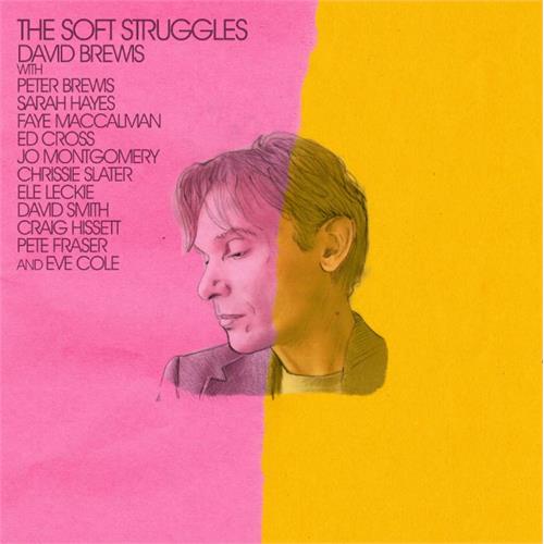 David Brewis The Soft Struggles (CD)