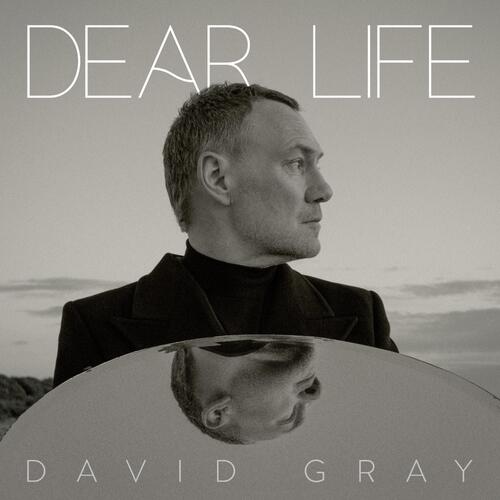 David Gray Dear Life - LTD (2LP) 