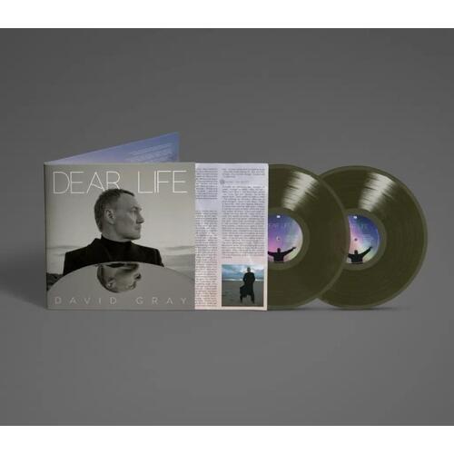 David Gray Dear Life - LTD (2LP) 