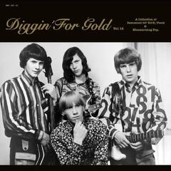 Diverse Artister Diggin' For Gold Vol. 14 (LP)
