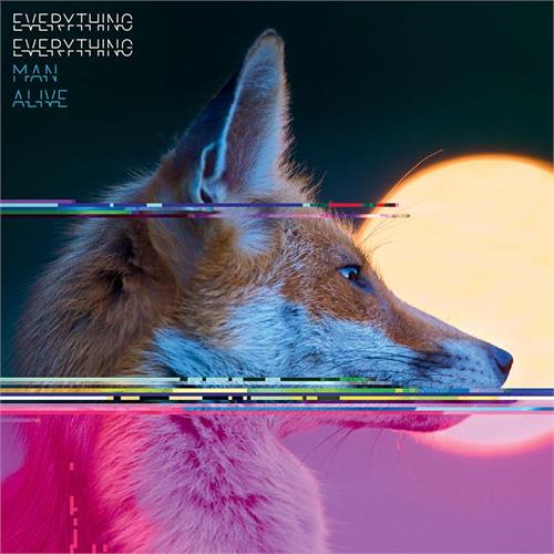 Everything Everything Man Alive (LP)