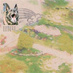 Feeble Little Horse Girl With Fish - LTD (LP)