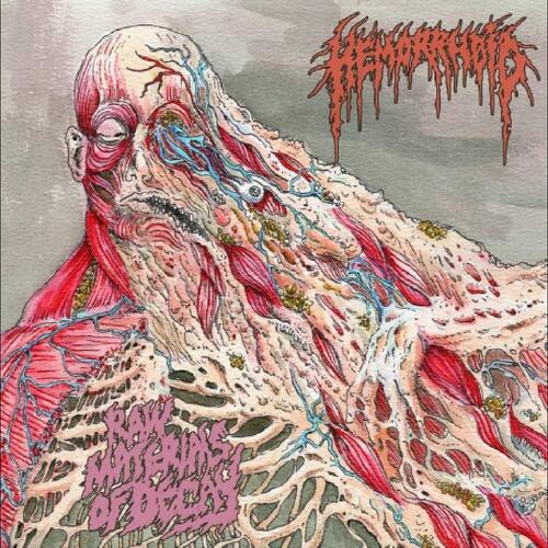 Hemorrhoid Raw Materials Of Decay (LP) 