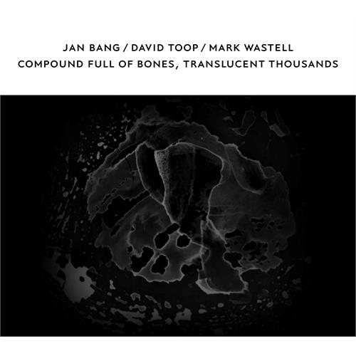 Jan Bang/David Toop/Mark Wastell Compound Full Of Bones, Translucent…(CD)