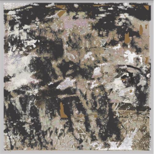 Loraine James Building Something Beautiful… - LTD (LP) 