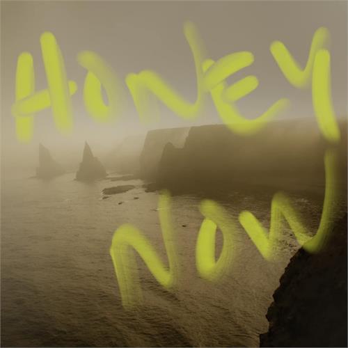 Neon Waltz Honey Now (LP) 