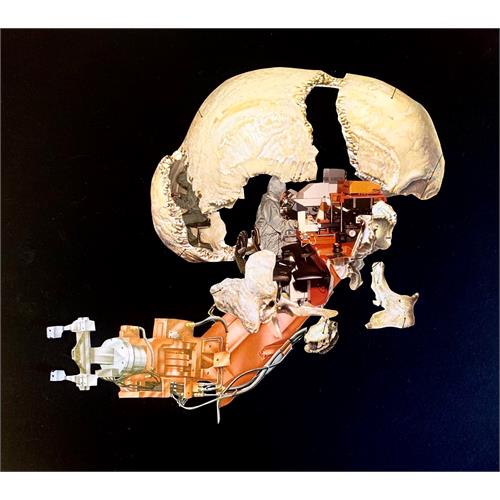 Polyphonic Exophilia Abracadabra (LP) 