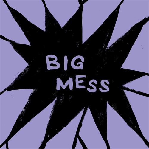 Public Body Big Mess - LTD (LP)