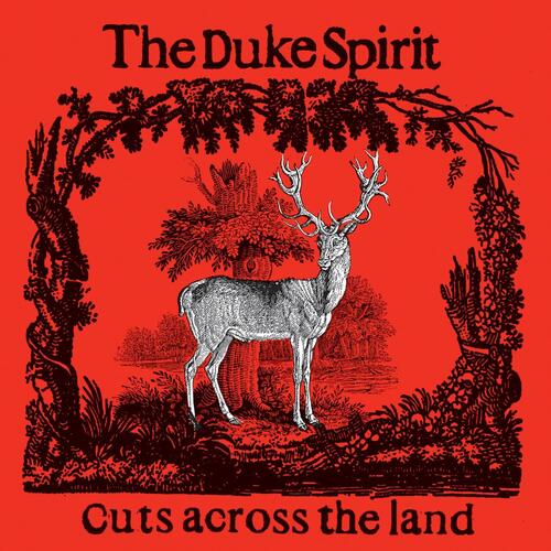 The Duke Spirit Cuts Across The Land - LTD (2LP) 