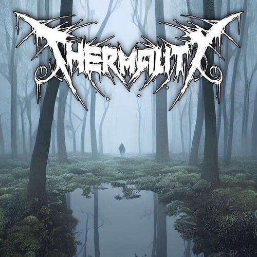 Thermality Before I Get To Rest (LP) 