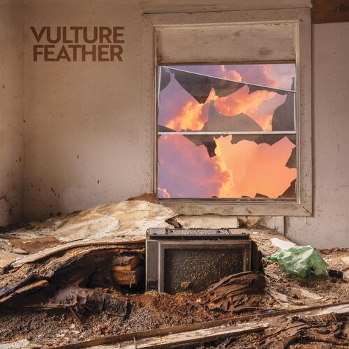 Vulture Feather It Will Be Like Now - LTD (LP) 