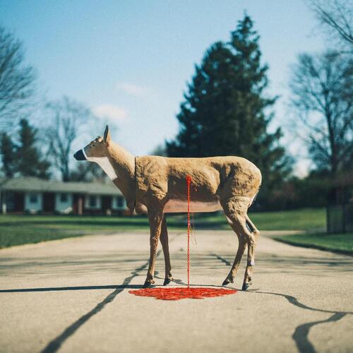 Wayne Graham Bastion - LTD (LP) 