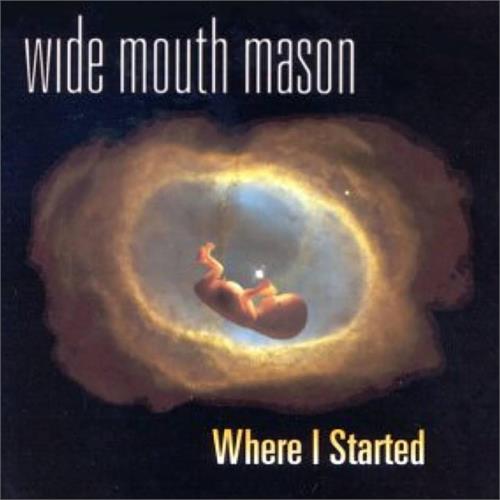 Wide Mouth Mason Where I Started (LP)