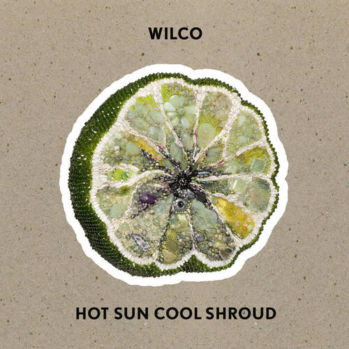 Wilco Hot Sun Cool Shroud (LP) 