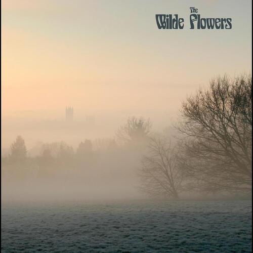 Wilde Flowers Wilde Flowers (LP)