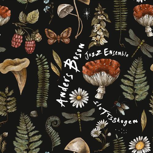 Anders Boson Jazz  Ensemble Slottsskogen (CD) 