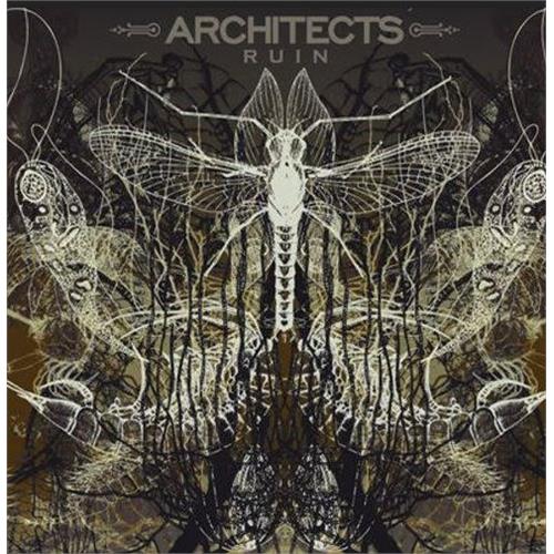 Architects Ruins (LP) 